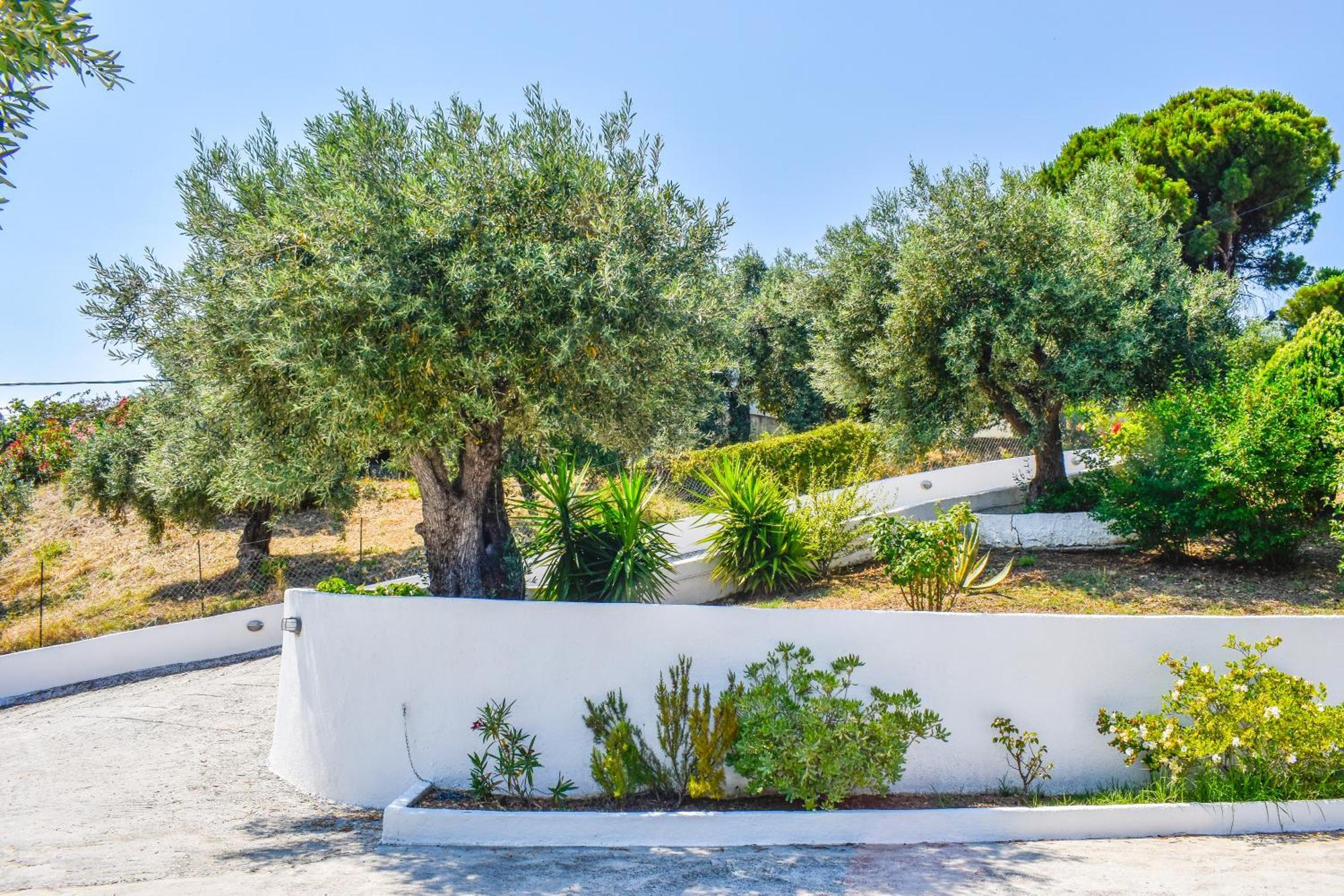 Apartments Villa L&M Skiathos Kalivia  Εξωτερικό φωτογραφία