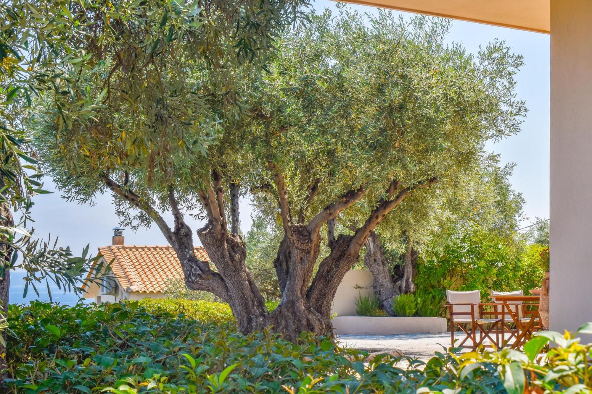 Apartments Villa L&M Skiathos Kalivia  Εξωτερικό φωτογραφία